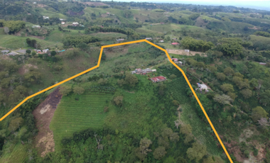 Finca en venta Filandia Quindio 18 Hectareas