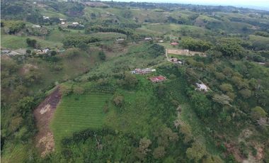 Finca en venta Filandia Quindio 18 Hectareas