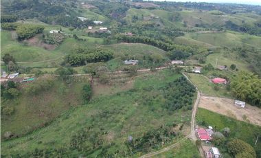 Finca en venta Filandia Quindio 18 Hectareas