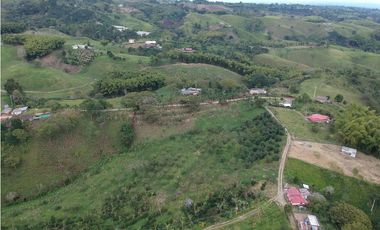Finca en venta Filandia Quindio 18 Hectareas