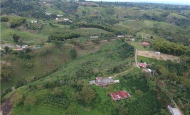 Finca en venta Filandia Quindio 18 Hectareas