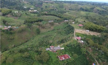Finca en venta Filandia Quindio 18 Hectareas