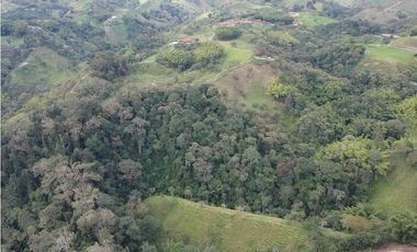 Finca en venta Filandia Quindio 18 Hectareas