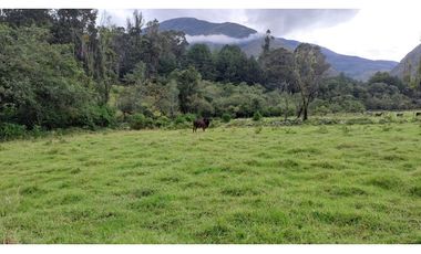 VENDO LOTE DE 37.107 METROS VEREDA SABANA - VILLA DE LEYVA