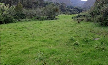 VENDO LOTE DE 37.107 METROS VEREDA SABANA - VILLA DE LEYVA