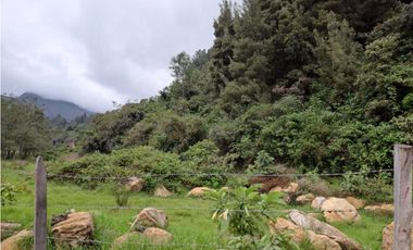 VENDO LOTE DE 37.107 METROS VEREDA SABANA - VILLA DE LEYVA