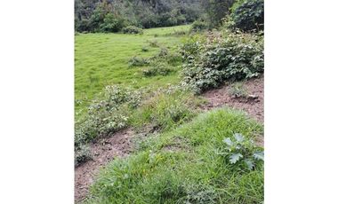 VENDO LOTE DE 37.107 METROS VEREDA SABANA - VILLA DE LEYVA