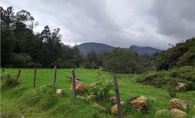 VENDO LOTE DE 37.107 METROS VEREDA SABANA - VILLA DE LEYVA