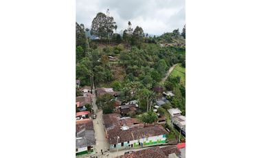 SE RENTA LOTE COMERCIAL UBICADO EN SALENTO QUINDIO