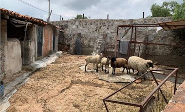 Venta Terreno 53,000 m² Carr Actopan-Pachuca a 3 mins Cd Conocimiento