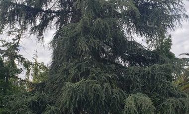 Casa en venta en BUIN