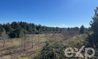 Terreno Construccion en Venta en ...