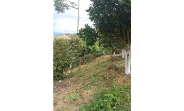 SE VENDE FINCA CAMPESTRE VIA LA FLORIDA-LA BELLA EN PEREIRA