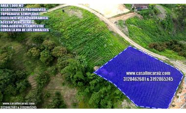 lote con escrituras en proindiviso-marinilla vrd chocho 69 millones