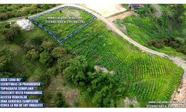 LOTE CON ESCRITURAS EN PROINDIVISO MARINILA Vrd CHOCHOMAYO 82millones