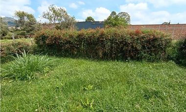 Arriendo finca en La Ceja - uso residencial o comercial