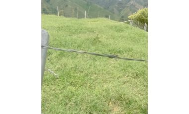 Finca independiente para la venta en la Estrella, Santa Rosa de Cabal