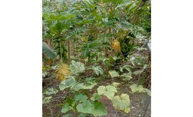 Finca independiente para la venta en la Estrella, Santa Rosa de Cabal