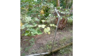 Finca independiente para la venta en la Estrella, Santa Rosa de Cabal