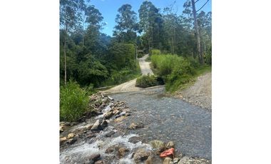 VENTA LOTE CAMPESTRE EN CALDAS VEREDA LA MIEL