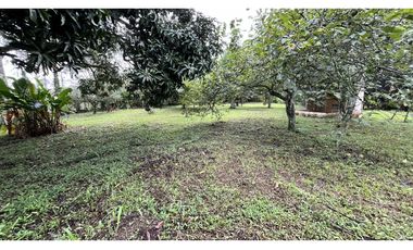 VENTA DE FINCA PEQUEÑA EN QUIMBAYA, QUINDO, COLOMBIA