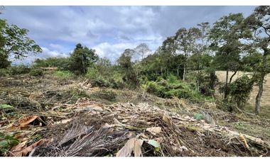 VENTA DE FINCA PEQUEÑA EN QUIMBAYA, QUINDO, COLOMBIA