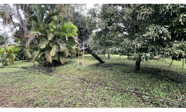 VENTA DE FINCA PEQUEÑA EN QUIMBAYA, QUINDO, COLOMBIA