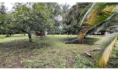 VENTA DE FINCA PEQUEÑA EN QUIMBAYA, QUINDO, COLOMBIA