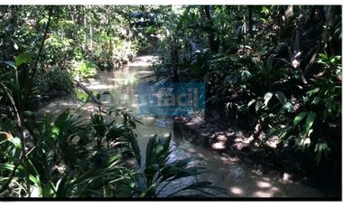 Venta Finca ganadera en Cumaribo Vichada