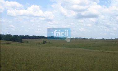 Venta Finca en Cumaribo-Vichada, sector Malicia Baja