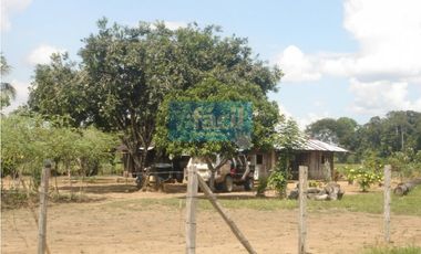 Venta Finca en Cumaribo-Vichada, sector Malicia Baja