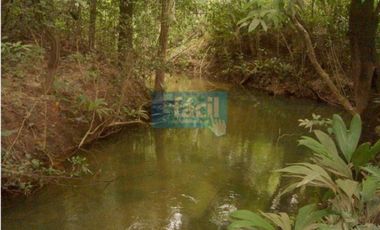 Venta finca en Vereda Mata Redonda-La Primavera-Vichada