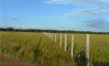 Venta finca en Vereda Mata Redonda-La Primavera-Vichada