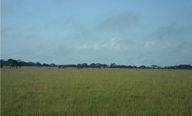 Venta finca en Vereda Mata Redonda-La Primavera-Vichada