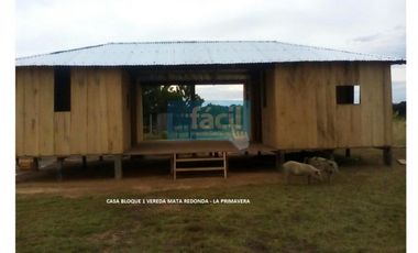 Venta finca en Vereda Mata Redonda-La Primavera-Vichada