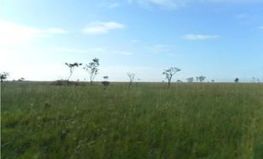 Venta finca en Vereda Mata Redonda-La Primavera-Vichada