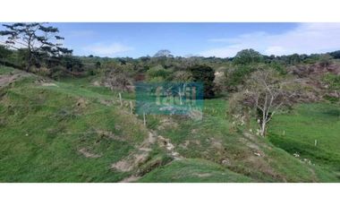 Venta Finca en Zambito-Cimitarra a la orilla de la Ruta del Sol