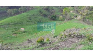 Venta Finca en Zambito-Cimitarra a la orilla de la Ruta del Sol