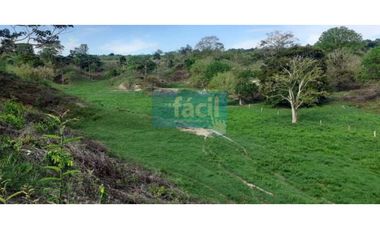 Venta Finca en Zambito-Cimitarra a la orilla de la Ruta del Sol