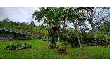 Finca en la Ruta Dapa a Bitaco La Cumbre