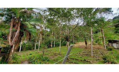 Finca en la Ruta Dapa a Bitaco La Cumbre