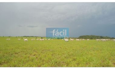 Finca ganadera no inundable y aguas en verano en Cumaribo Vichada