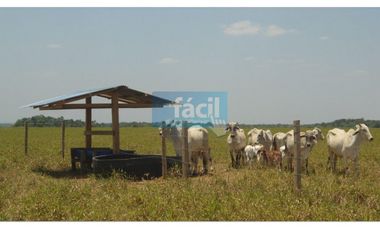 Finca ganadera no inundable y aguas en verano en Cumaribo Vichada