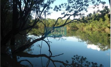 Finca ganadera no inundable y aguas en verano en Cumaribo Vichada