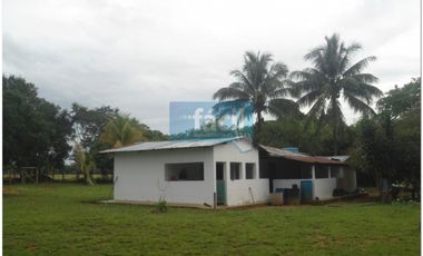 Finca ganadera no inundable y aguas en verano en Cumaribo Vichada