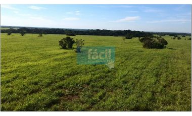 Finca ganadera no inundable y aguas en verano en Cumaribo Vichada