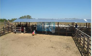 Finca ganadera no inundable y aguas en verano en Cumaribo Vichada