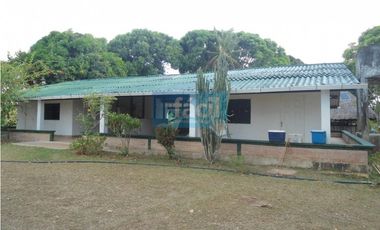 Finca ganadera no inundable y aguas en verano en Cumaribo Vichada