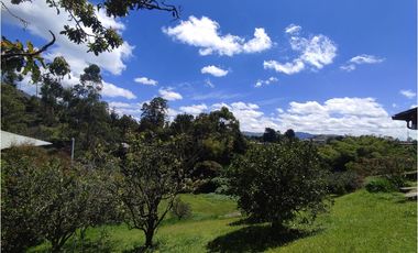 Casa Arriendo en Rionegro sector La Mosquita