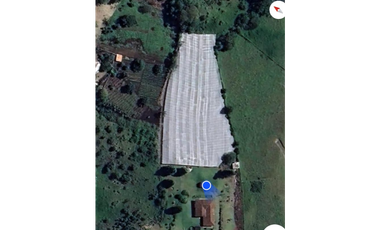 Casa amoblada en Arriendo en El Carmen de Viboral